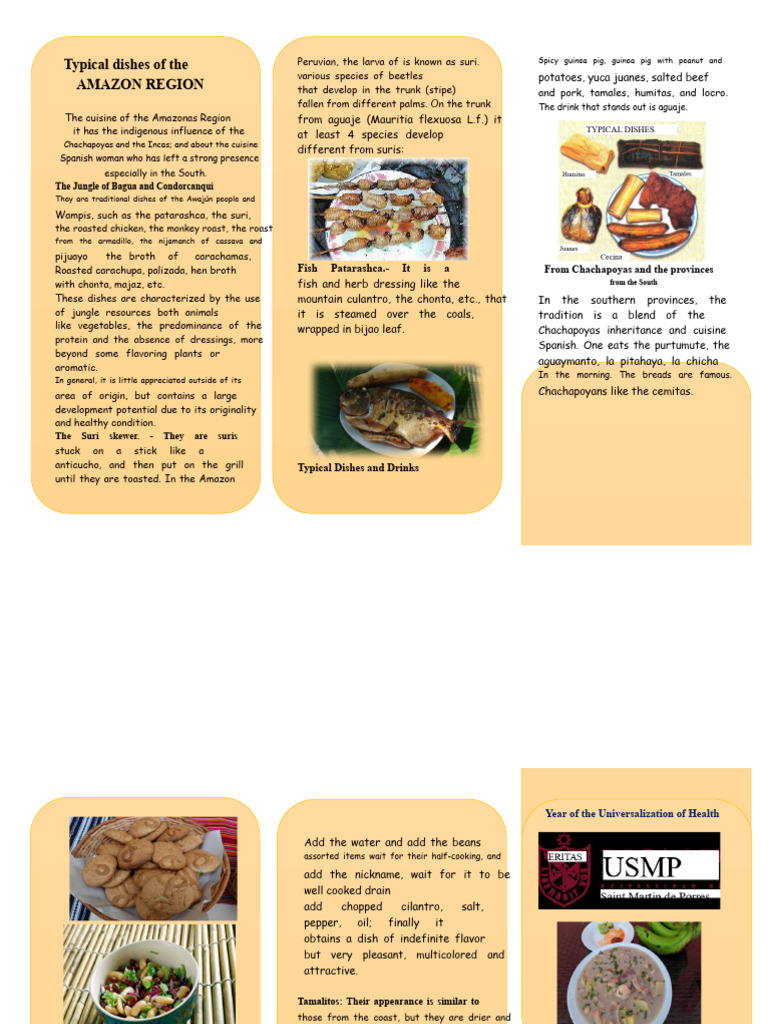 Amazon Region Cuisine and Dishes | PDF | Foods | Cuisine
