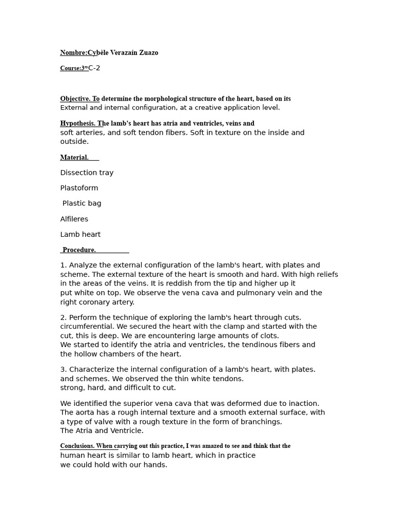 Lamb Heart Dissection Analysis | PDF | Heart | Cardiac Muscle
