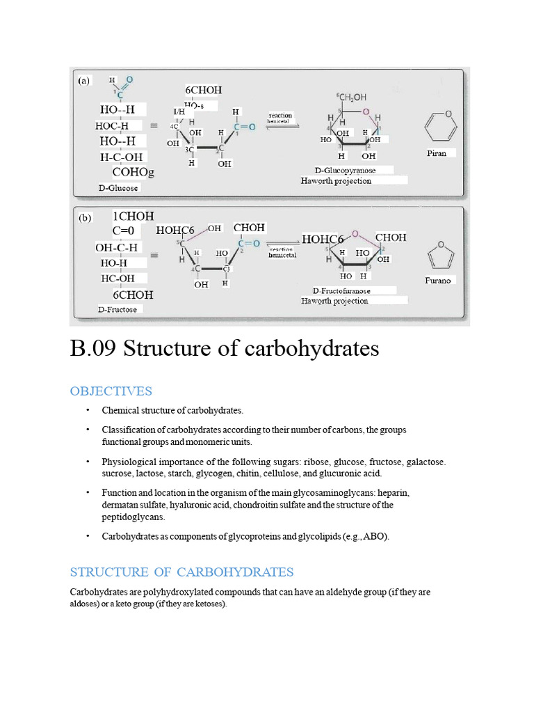 Carbohydrate Structure and Classification | PDF | Carbohydrates | Glucose