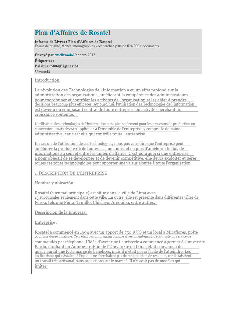 Plan d'Affaires de Rosatel : Stratégies et Vision | PDF ...