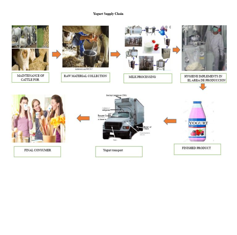 Yogurt Supply Chain Overview | PDF