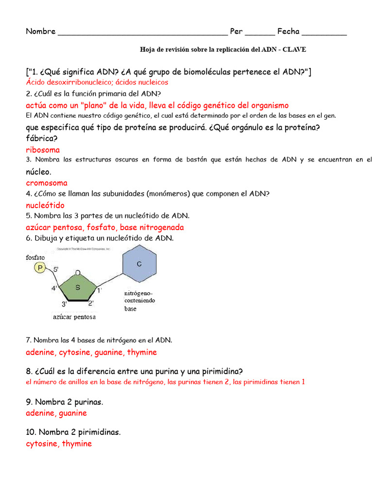 Revisión sobre la Replicación del ADN | PDF | Adn | Replicación De Adn