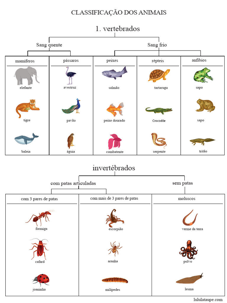 Classificação dos Animais: Vertebrados e Invertebrados | PDF