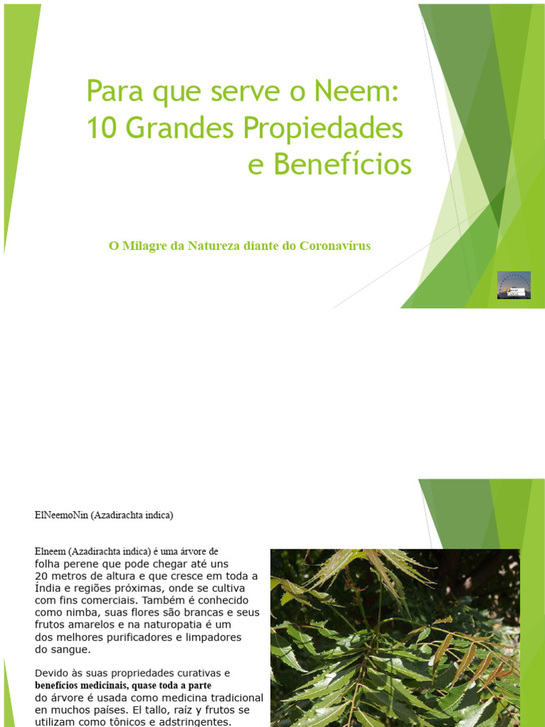 Benefícios do Neem: Propriedades e Usos | PDF | Diabetes | Bactérias