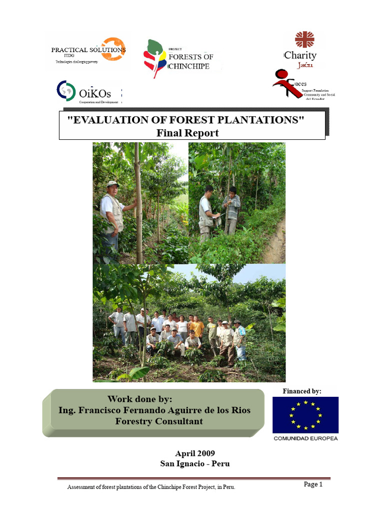 Chinchipe Forest Project Plantation Assessment | PDF | Deforestation ...