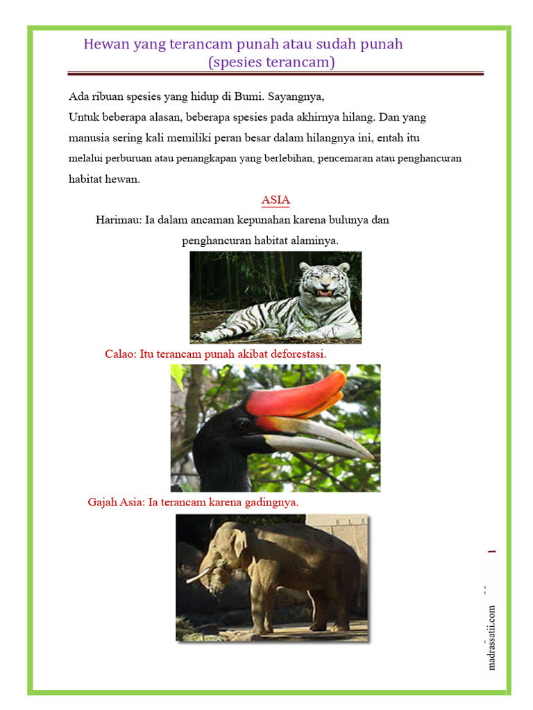 Spesies Terancam Punah di Dunia | PDF