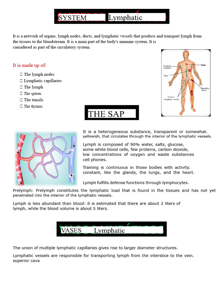 LYMPH NODES | PDF | Lymphatic System | Lymph