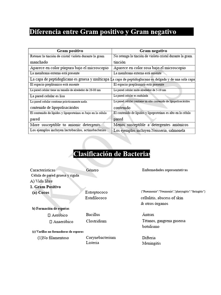 Diferencias entre Bacterias Gram Positivas y Negativas | PDF ...