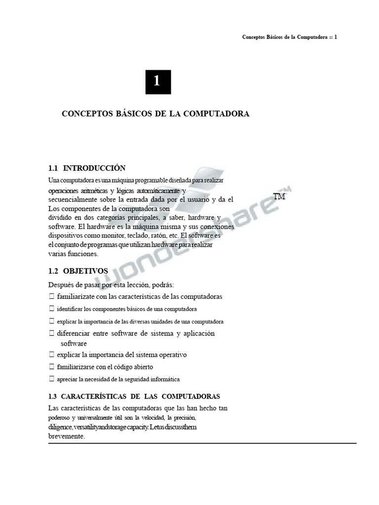 Conceptos Esenciales de Computadoras | PDF | Hardware de la computadora ...