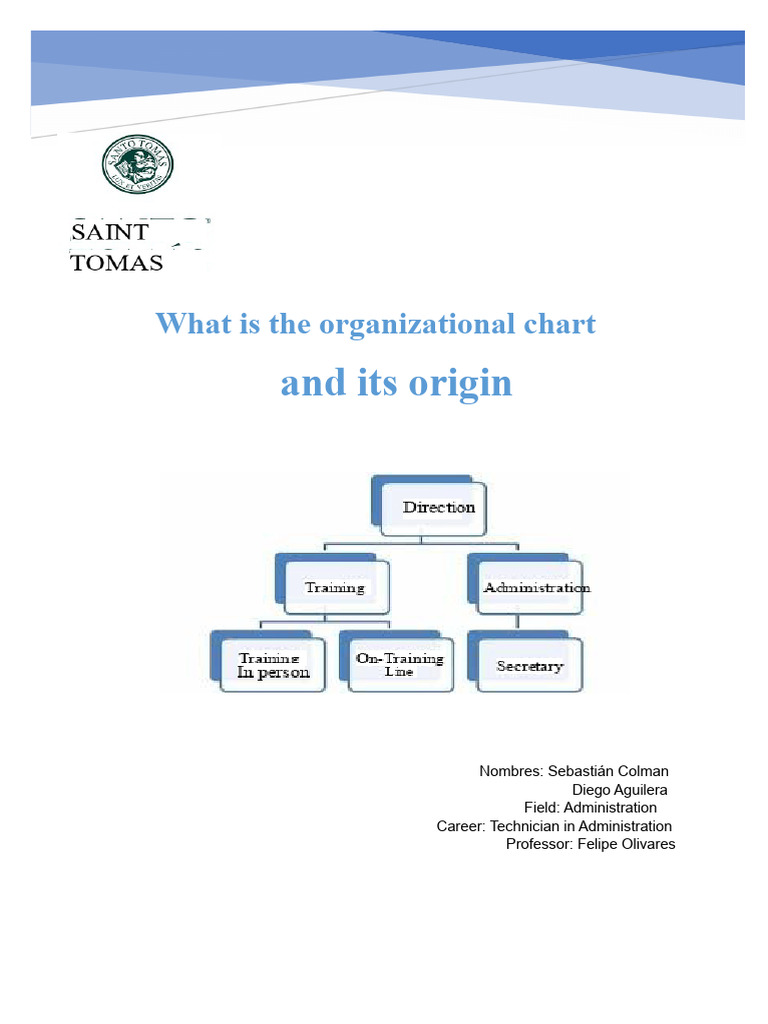 Understanding Organizational Charts | PDF | Hierarchy | Business