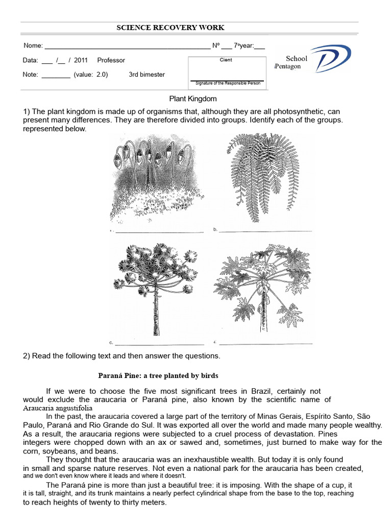 plants | PDF | Plants | Seed
