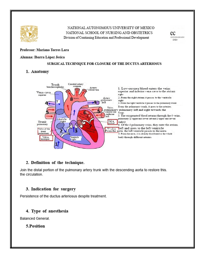 Surgical Technique for Ductus Arteriosus Closure | PDF | Aorta | Thorax ...