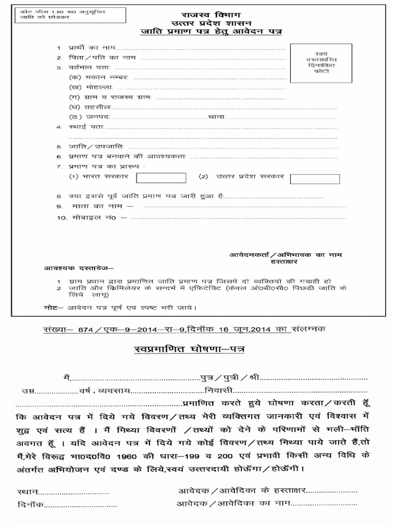 Caste Form | PDF