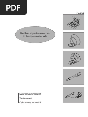 Hyundai Excavator Seal Kits Guide | PDF | Mechanical Engineering