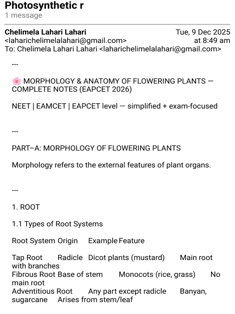 Full Explanation Morphology in Flowering Plant | PDF | Plant Stem | Leaf