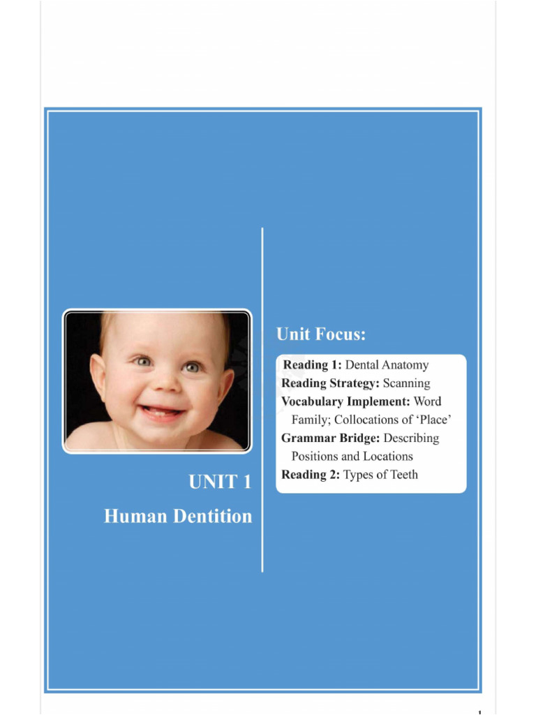 Tooth | PDF