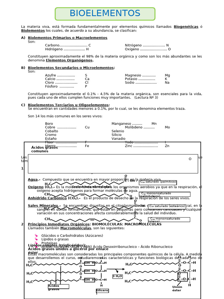 Clasificación y Funciones de Bioelementos | PDF | Elementos químicos ...
