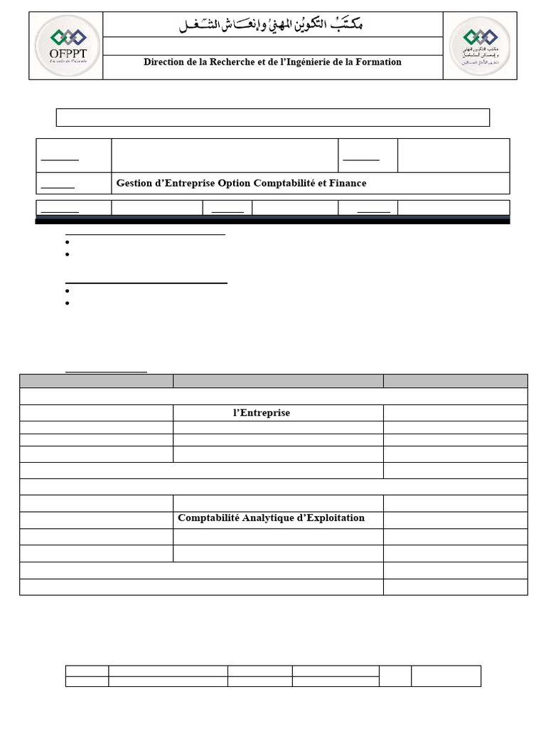 Eff Geocf v2 | PDF | Immobilisations | Audit
