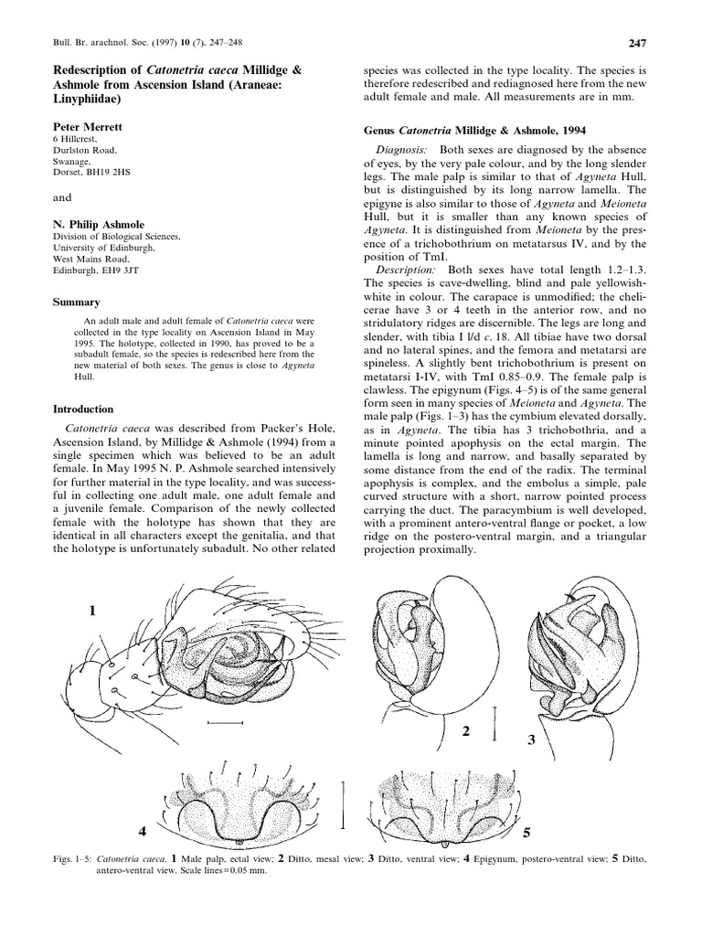 Merrett, P. & Ashmole, N. P. (1997) | PDF