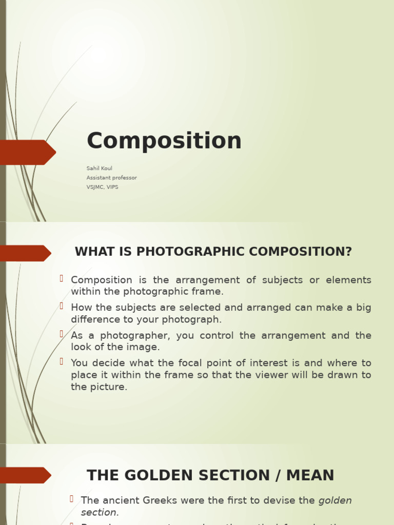 Mastering Photographic Composition Techniques | PDF | Composition ...