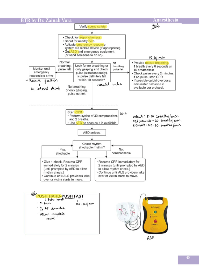 Anes 3 Page | PDF