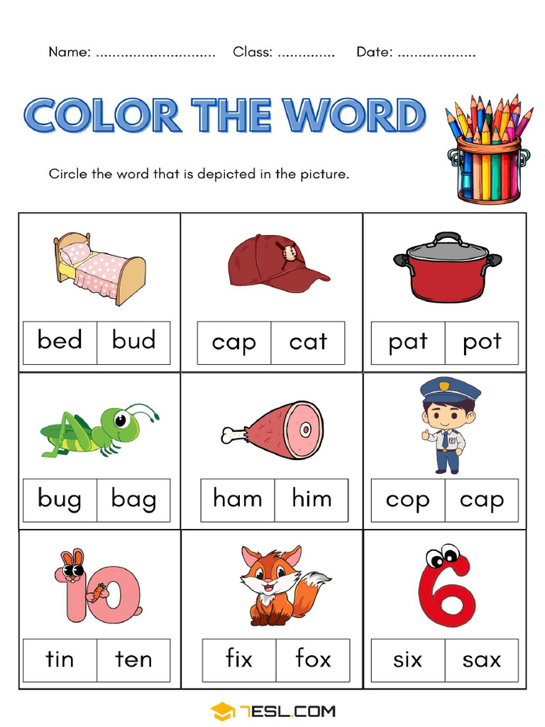 Work Sheet For KG | PDF