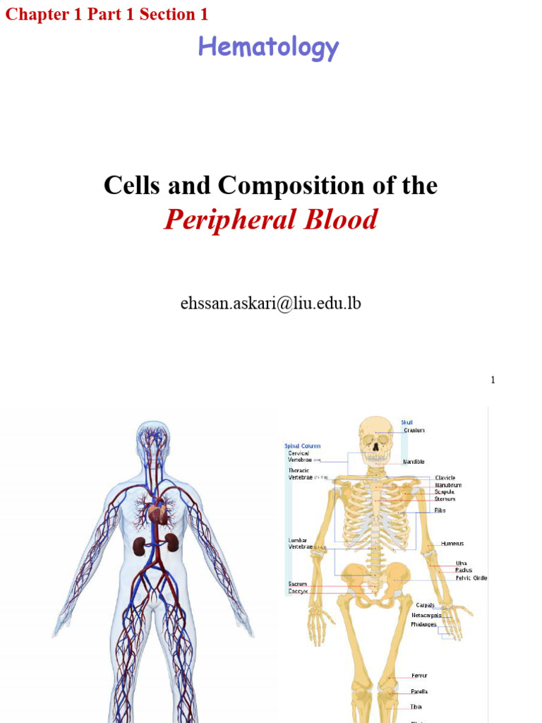 Chapter 1 Part A Section 1 | PDF | White Blood Cell | Granulocyte