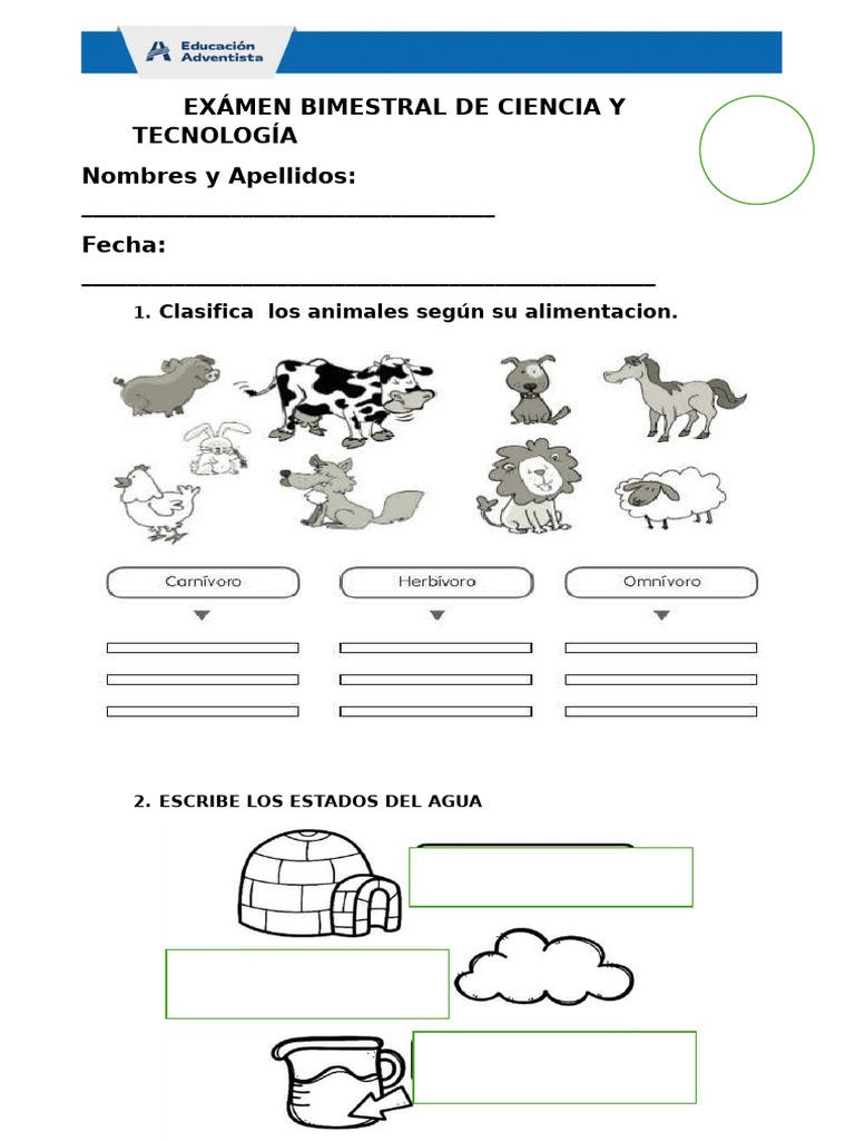 Examen Bimestral de Ciencia y Tecnología | PDF
