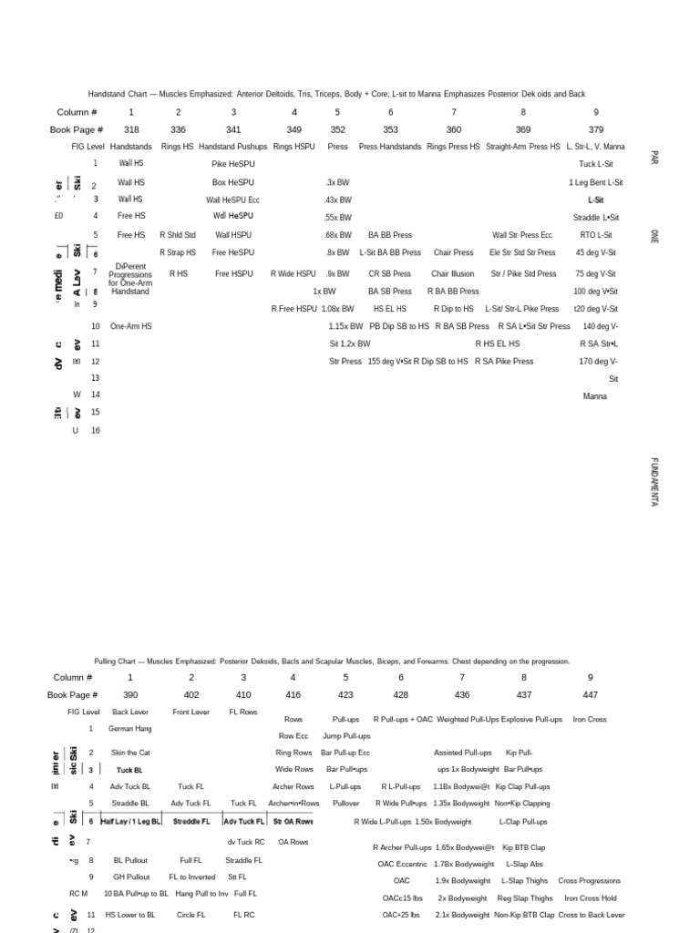 Handstand and Muscle Progression Charts | PDF | Physical Fitness ...