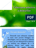 Colectarea Selectiva A Deseurilor