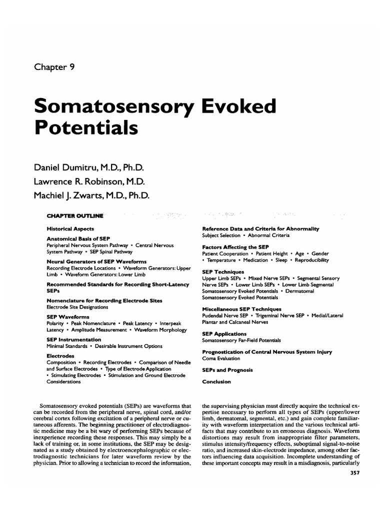 Understanding Somatosensory Evoked Potentials | PDF | Spinal Cord ...
