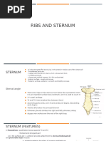 Canine Sternum Anatomy Overview | PDF | Abdomen | Musculoskeletal System