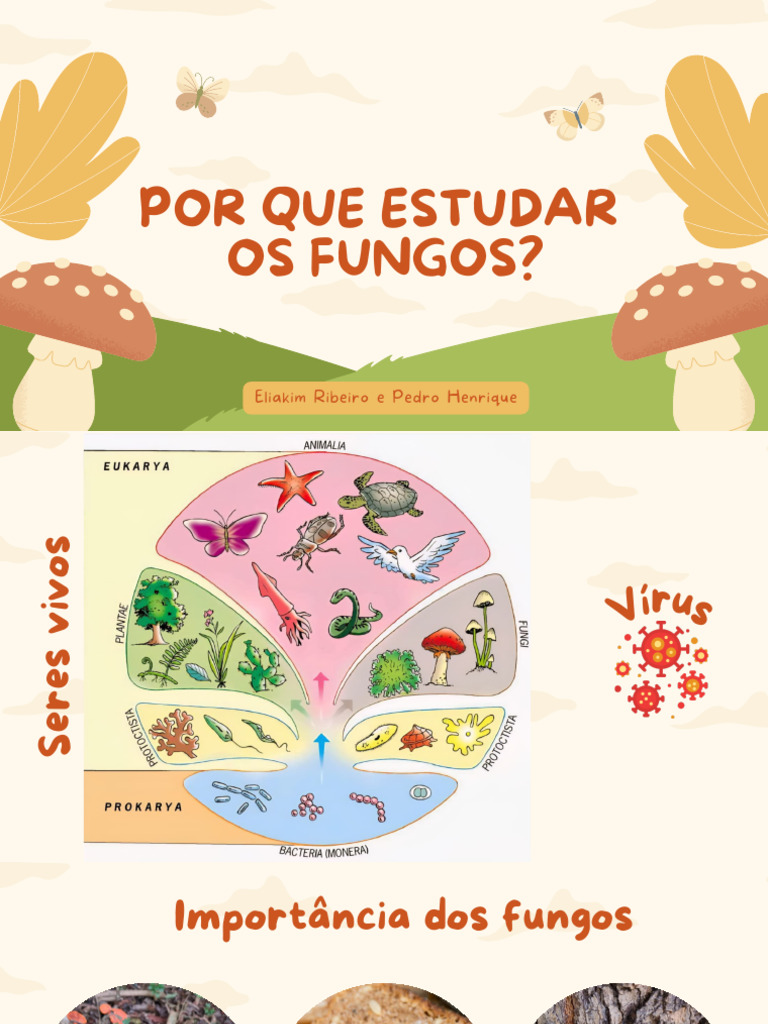 Importância e Classificação dos Fungos | PDF | Fungo | Reprodução sexual