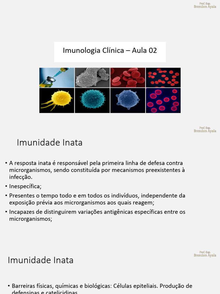 Aula 02 | PDF