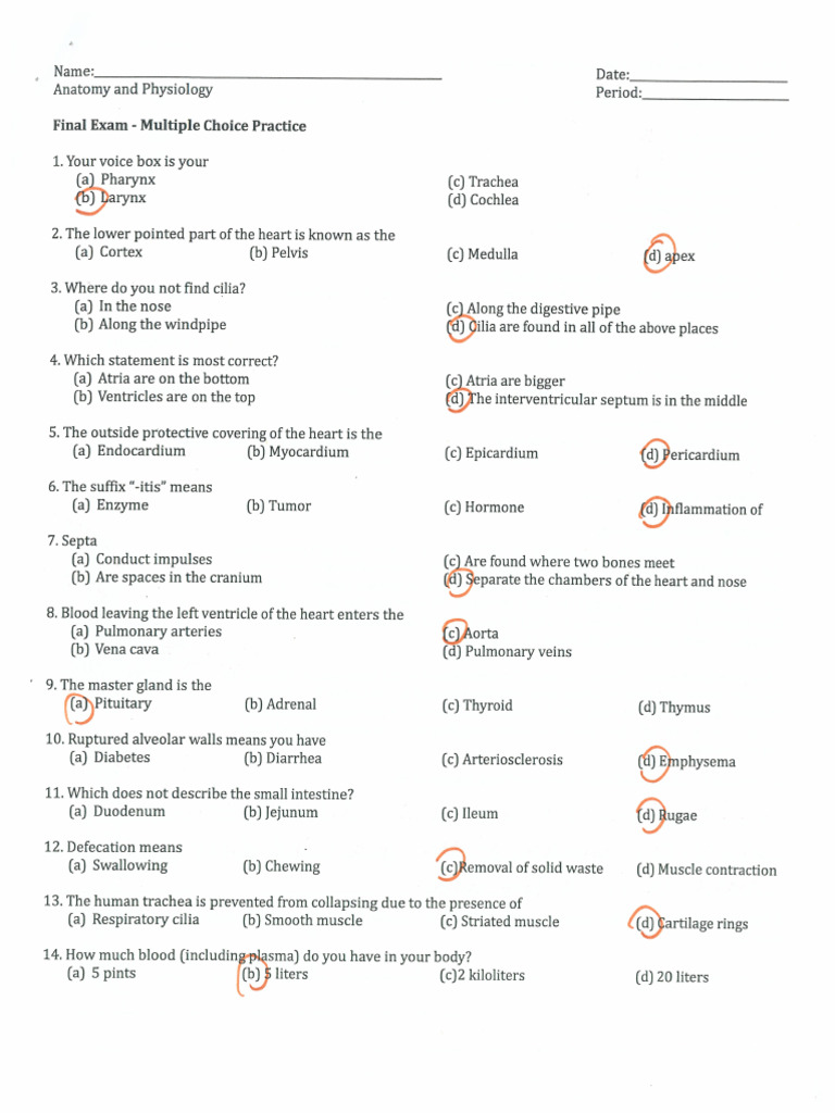 KEY Practice Questions | PDF