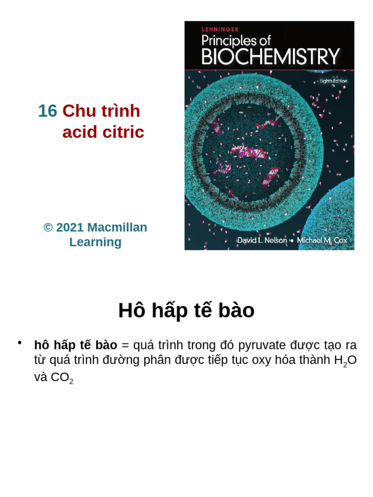 Chapter 16 - Citric Acid Cycles | PDF