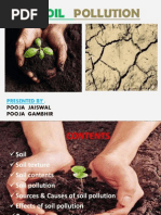 Download SOIL PPT by Pooja Jaiswal SN96989322 doc pdf