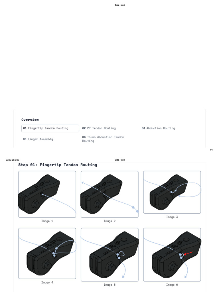Orca Hand Tendon Routing Guide | PDF