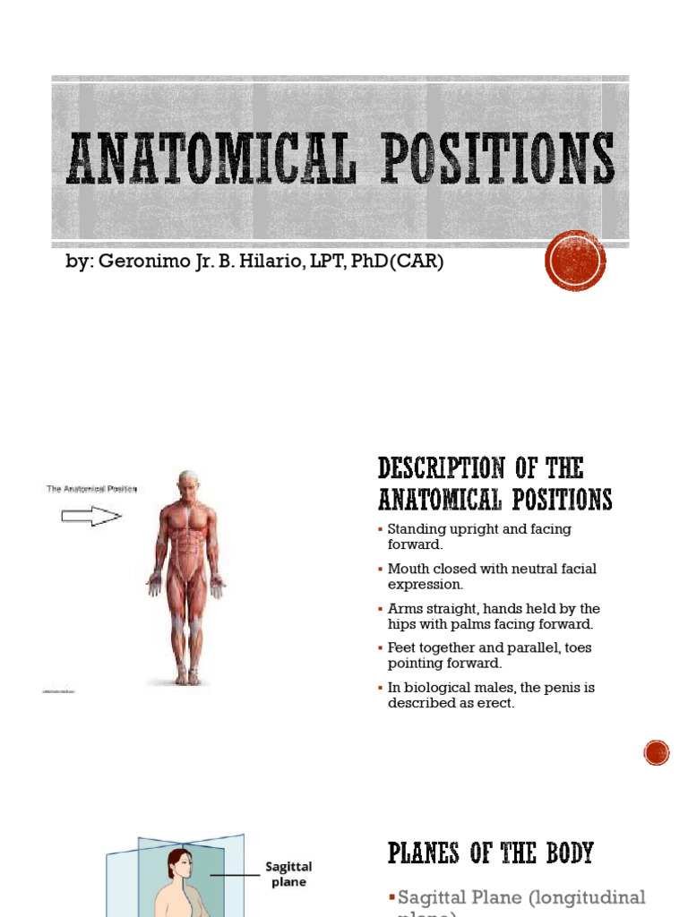 PE 1 Prelim Midterm | PDF | Anatomical Terms Of Motion | Strength Training