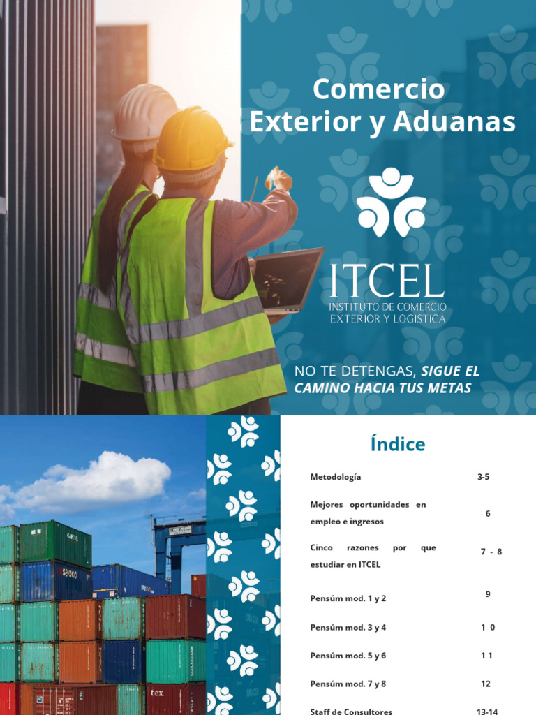 Diplomado en Comercio Exterior y Aduanas | PDF | aduana | Enseñando