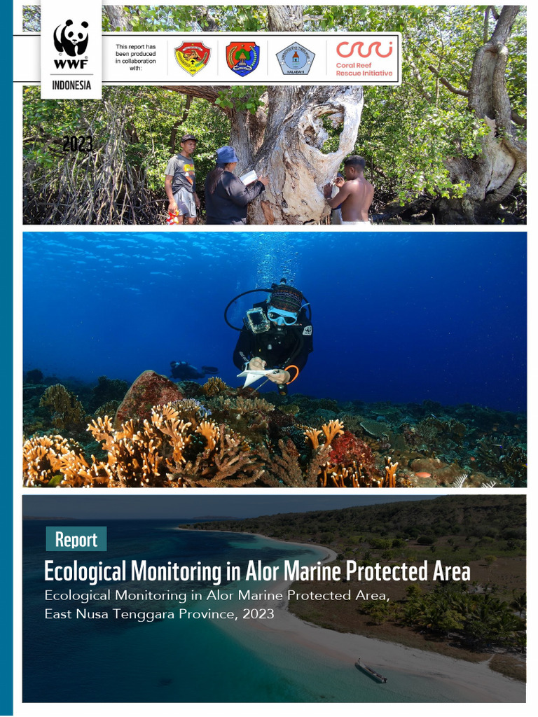 Ecological Monitoring Report: Alor MPA 2023 | PDF | Benthic Zone ...