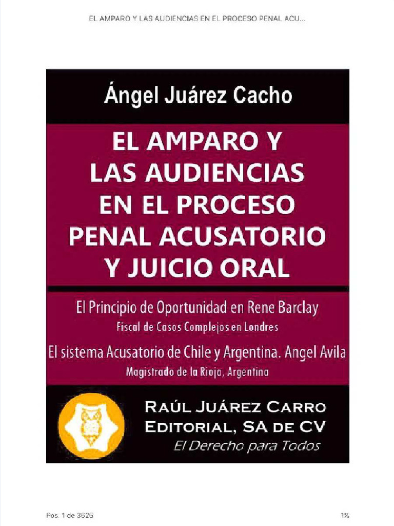 PDF El Amparo y Las Audiencias en El Proceso Penal Acusatorio y Oral ...
