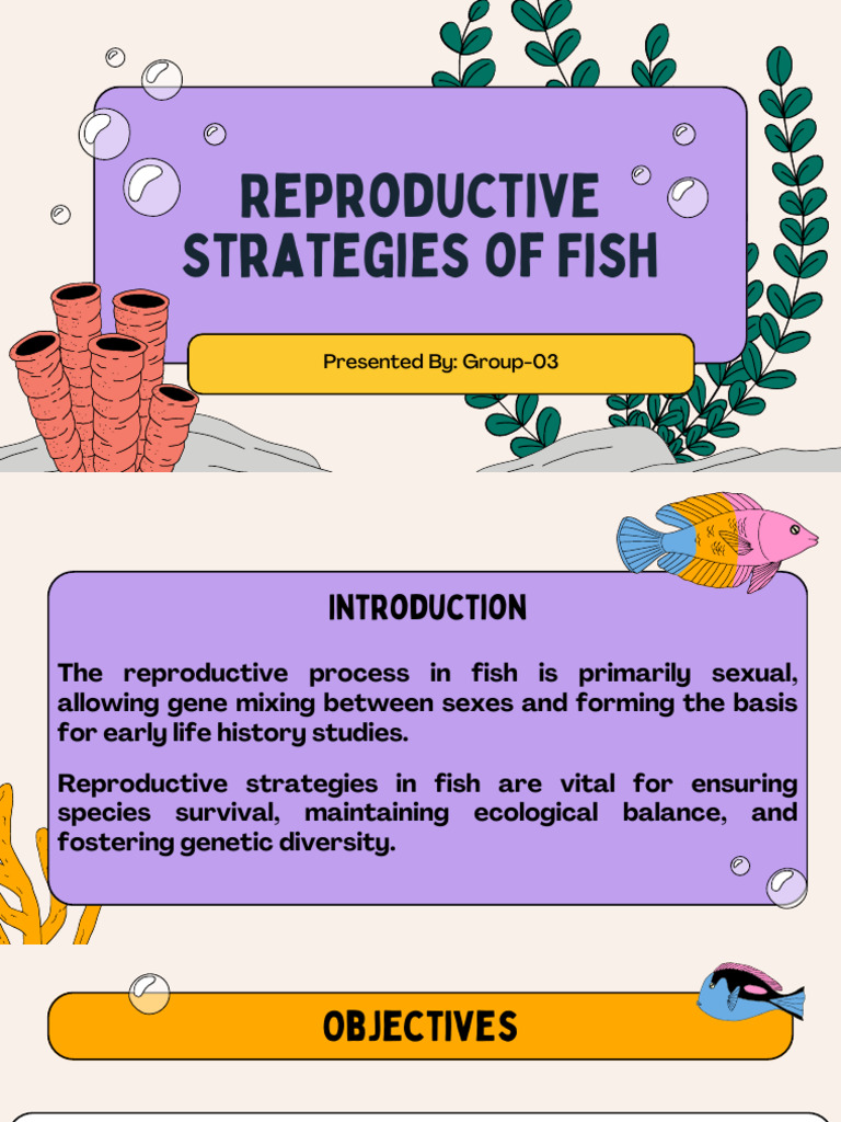 Fish Reproductive Strategies Explained | PDF | Sexual Reproduction ...