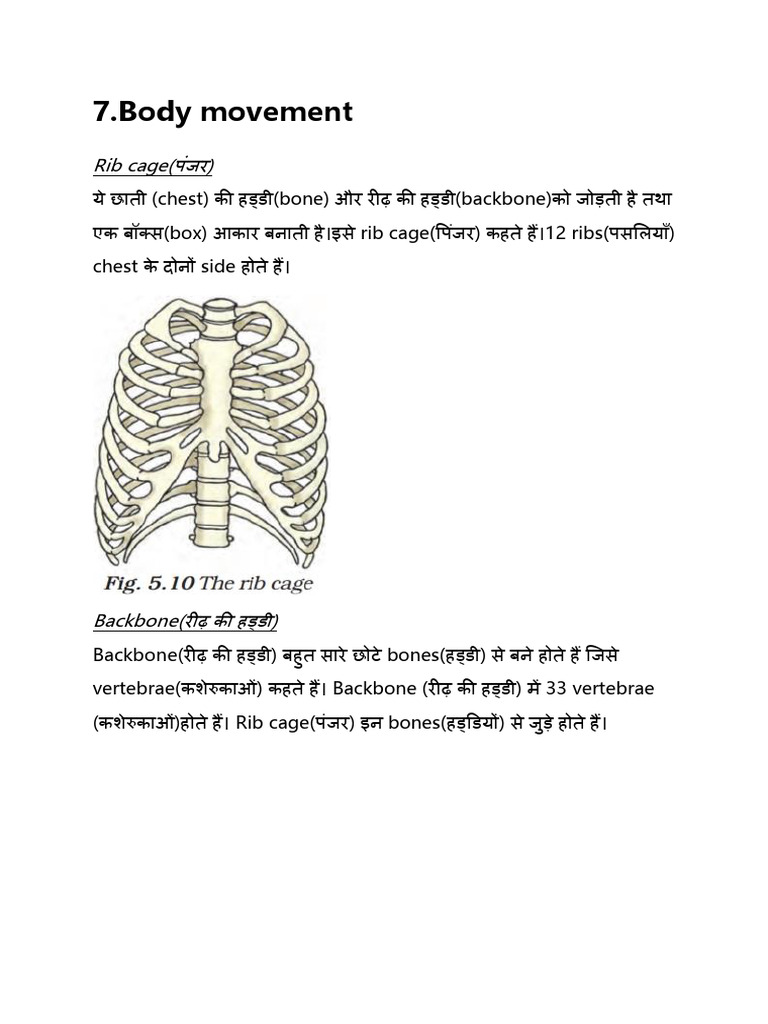 7.body Movement | PDF