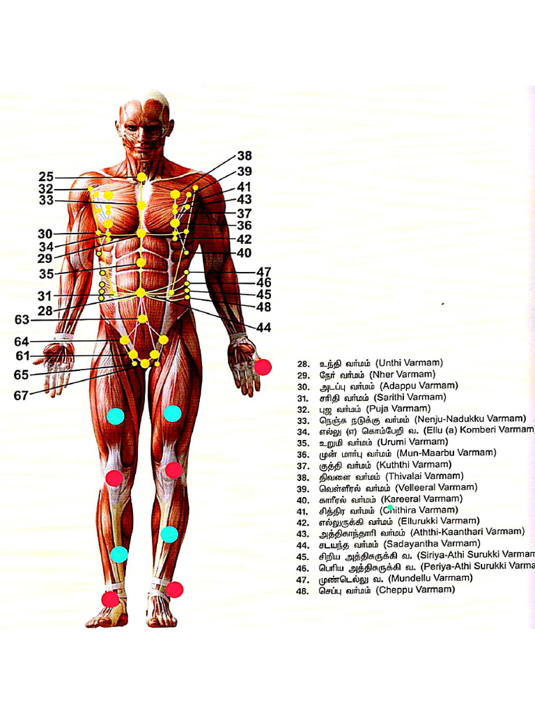 Varma Diagram | PDF