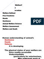 Animal Welfare Course