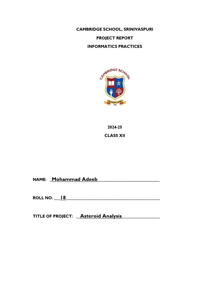Asteroid Data Analysis Project Report | PDF | Computer Science | Computing