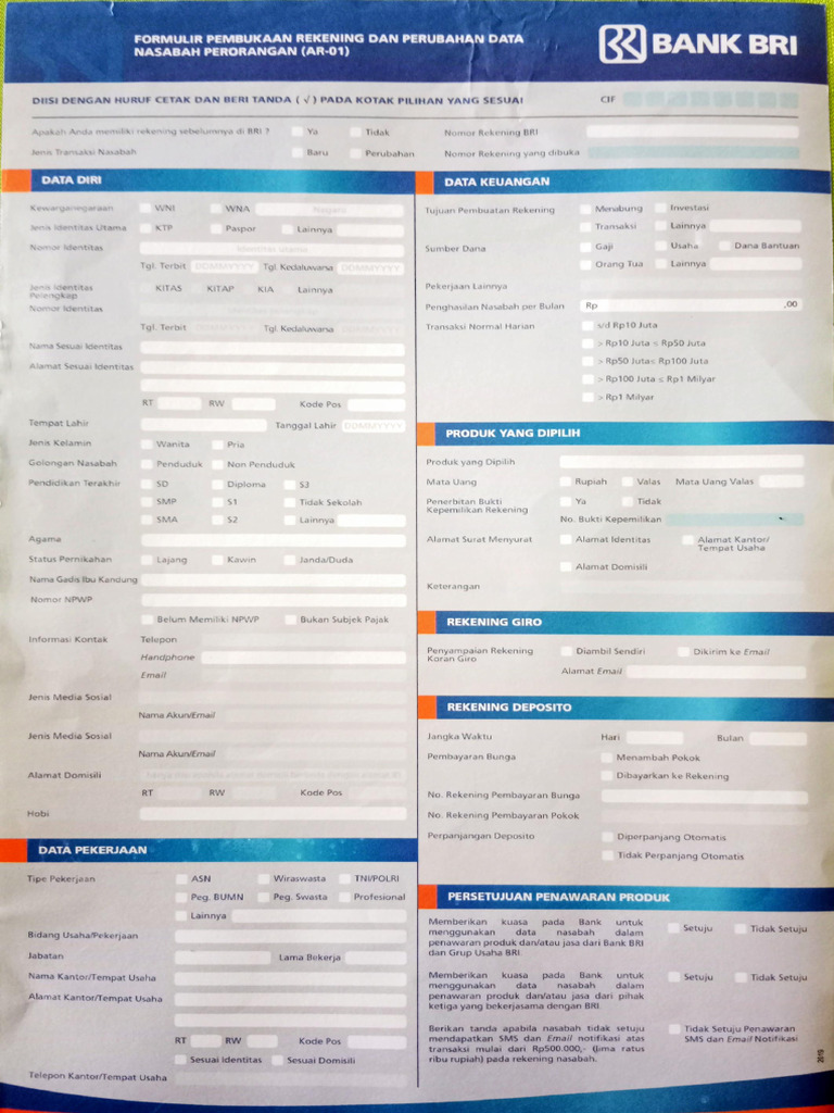 Form BRI | PDF