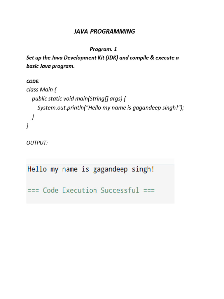 Java Programming Basics and Examples | PDF | Object Oriented ...