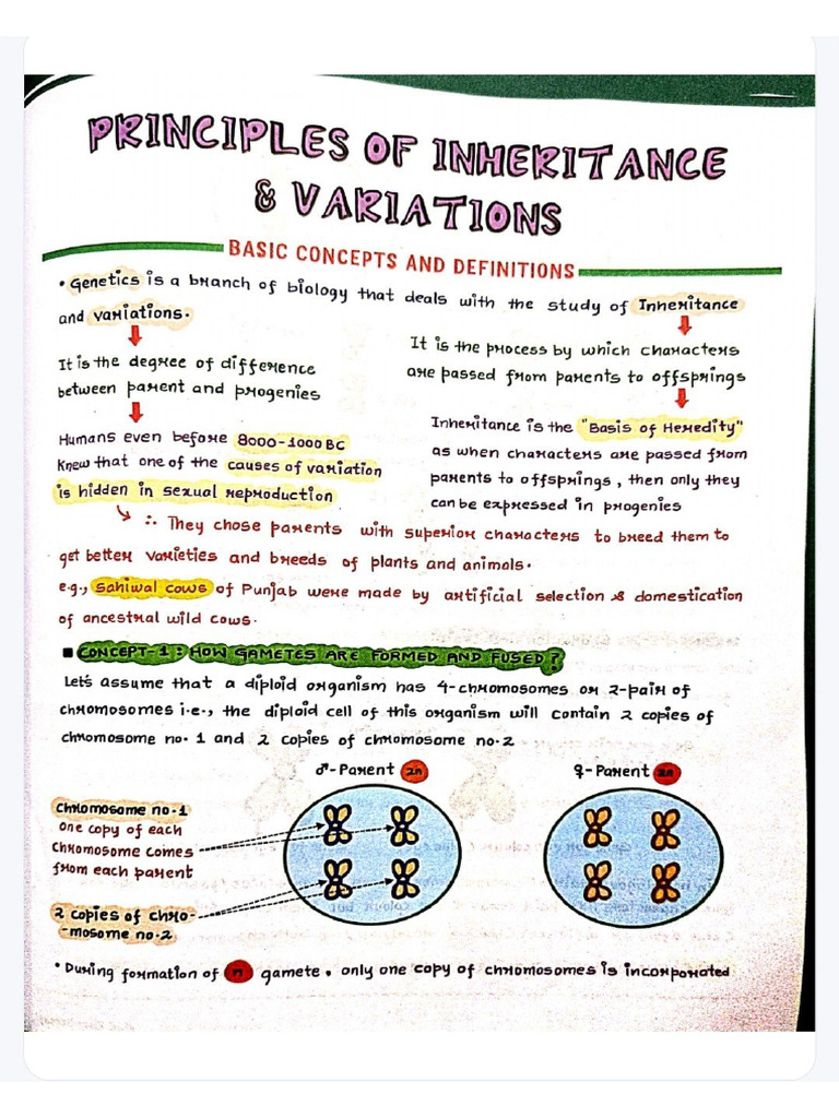 Principle of Inheritance and Variation | PDF